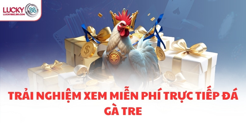 Trải nghiệm xem miễn phí trực tiếp đá gà tre